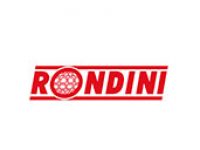 rondini